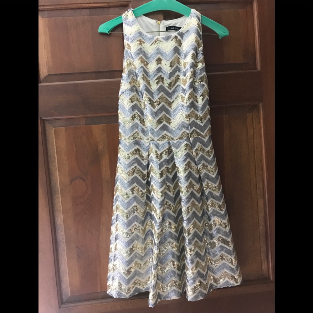 Cute Fit & Flare Sequin Dress